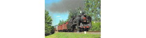 Pohlednice, Parní lokomotiva 534.0432 u Šumperka, Letohradský železniční klub  2022118